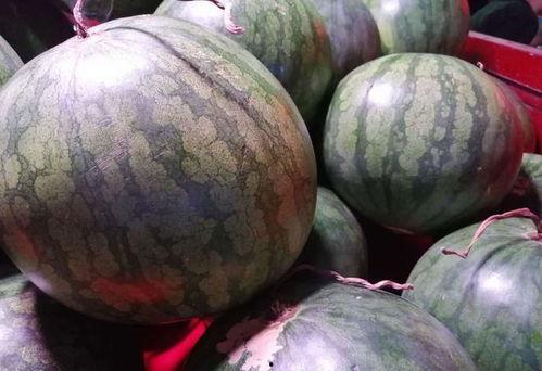 买瓜吃西瓜视频,揭秘短视频平台的趣味与智慧