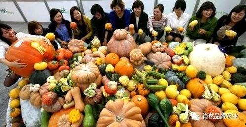 没事别大街吃瓜,揭秘大街上吃瓜的尴尬瞬间