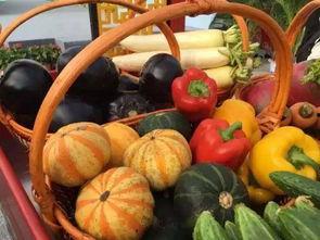 没事别大街吃瓜,揭秘大街上吃瓜的尴尬瞬间