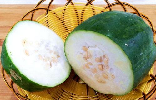 冬瓜也吃瓜,揭秘瓜类植物的奇妙世界