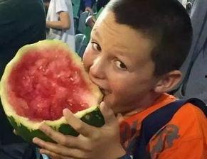 奇葩奸商吃瓜,吃瓜群众眼中的商业奇观