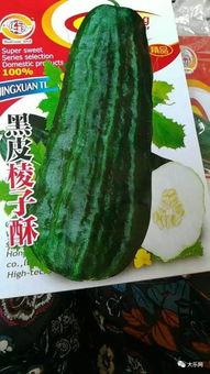 黑皮酥瓜几天可以吃,美味速成，几天即可享用的健康零食