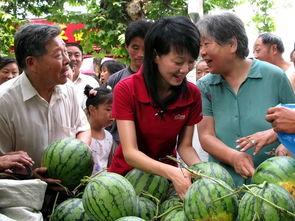 铁心桥城管吃瓜,街头一幕引发社会热议