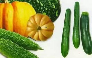 林航的吃瓜,揭秘娱乐圈幕后故事