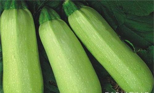 角瓜与什么吃,创意料理新体验