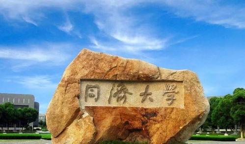 同济大学吃瓜,揭秘校园热点背后的故事
