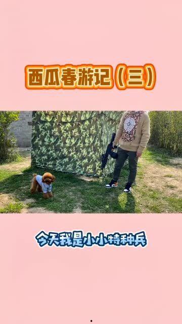 带你吃瓜鸡介绍,揭秘娱乐圈那些不为人知的幕后故事