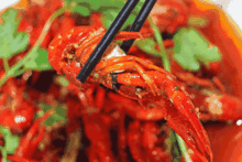 吃龙虾能吃瓜吗,吃瓜消暑两不误？