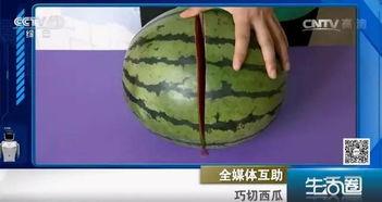 吃瓜不吐籽直播,揭秘直播界的趣味与智慧