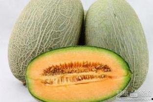 摘野生哈密瓜吃,摘野生哈密瓜的味蕾之旅