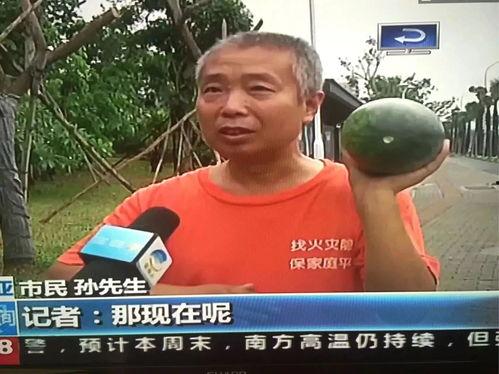 吃瓜群众 吃瓜事件是真的吗,吃瓜事件真相揭秘