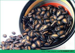 西胡芦瓜孕妇可以吃吗,孕妇饮食中的健康之选