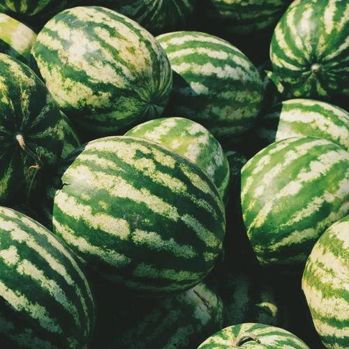 吃瓜要带盆,盘点那些“盆”级瓜事