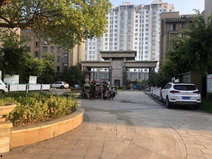 状元府在线吃瓜,揭秘宫廷秘闻，品味皇家盛宴