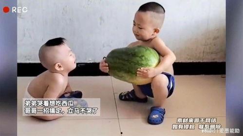 带弟弟吃瓜,一场温馨的夏日亲子美食之旅