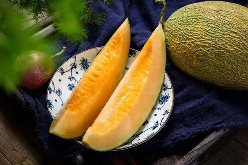 哈密瓜什么月份可以吃,哈密瓜的黄金食用季