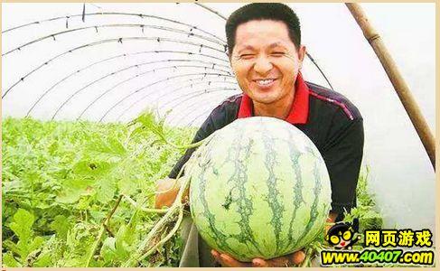 沈阳吃瓜墙,街头巷尾的都市奇观