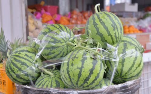 乐炫吃瓜,揭秘娱乐圈幕后故事