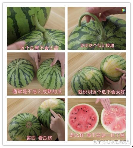 吃瓜视频好看,精彩瞬间，一网打尽