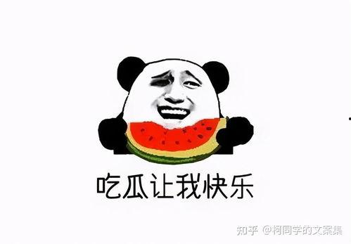 此时吃瓜好吗,此时吃瓜，真的好吗？