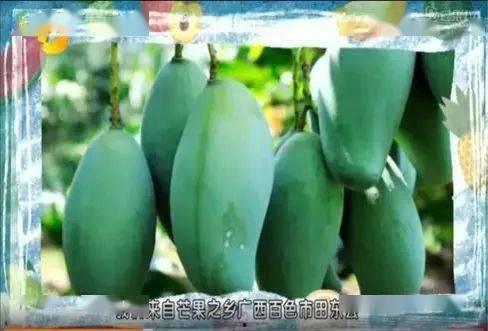 桂哥吃瓜总结,揭秘娱乐圈幕后故事