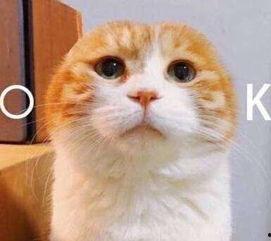 手机表情吃瓜什么意思,揭秘网络热词背后的趣味与内涵