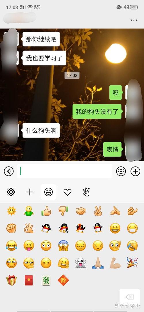 手机表情吃瓜什么意思,揭秘网络热词背后的趣味与内涵