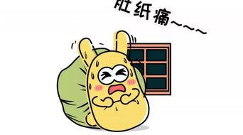 吃瓜群众的最爱,吃瓜群众的最爱，明星幕后故事大公开