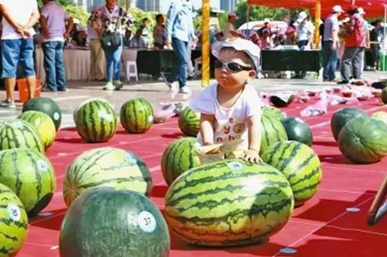 每日大赛吃瓜入口 在线,轻松掌握热门赛事精彩瞬间