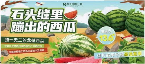 每日大赛吃瓜入口 在线,轻松掌握热门赛事精彩瞬间