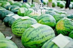 每日大赛吃瓜入口 在线,轻松掌握热门赛事精彩瞬间