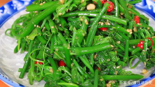 瓜尖能怎么吃,创意烹饪新风尚