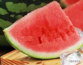 带你吃瓜无籽西瓜,带你吃瓜新体验