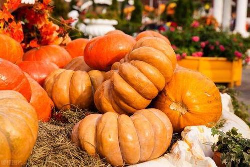 过秋吃瓜,传统习俗中的过秋吃瓜文化