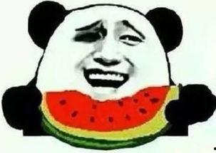 吃瓜群众改名了,揭秘网络昵称的演变之路