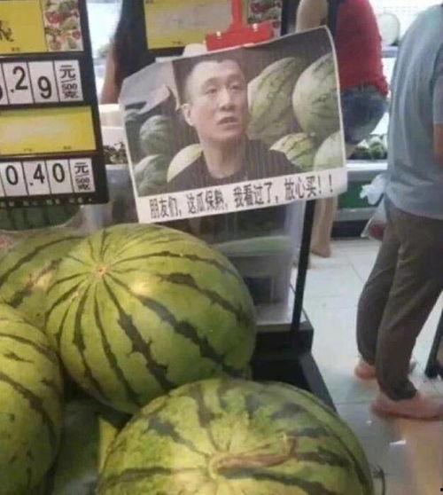 孙红雷吃瓜表情包,笑料横生的娱乐圈瞬间