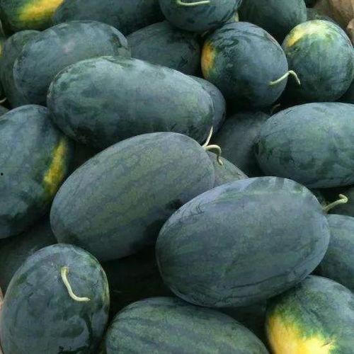 湖北鄂州父女吃瓜