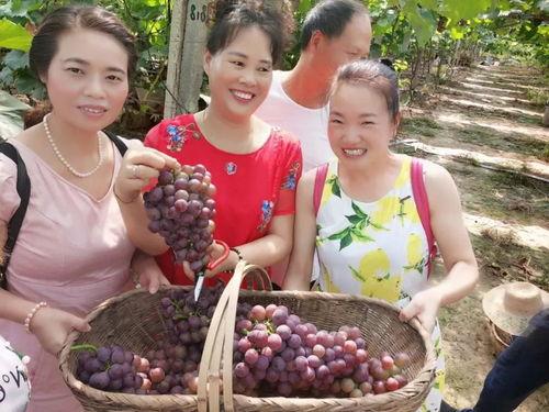 湖北鄂州父女吃瓜