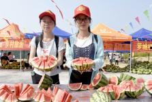 广西校园吃瓜君,揭秘校园热点事件背后的真相