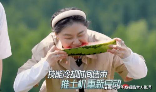 吃瓜在努力,见证时代变迁的“瓜界”风云