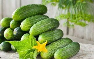 吃瓜涩嘴,揭秘娱乐圈的甜蜜与苦涩