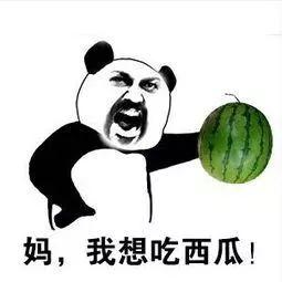 吃瓜吃不完,吃不完的瓜，尽享夏日清凉