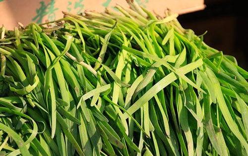 吃瓜直播间吃韭菜,揭秘韭菜背后的秘密