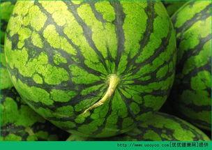 发烧吃瓜去,揭秘网络热点的背后真相