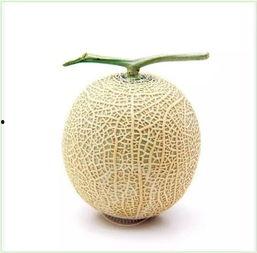 好看吃瓜头像单人,探寻好看吃瓜头像背后的故事