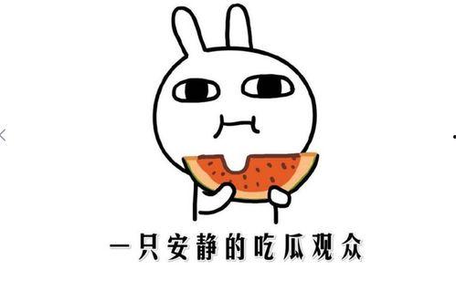 怎么形容自己吃瓜,我的吃瓜日常与感悟