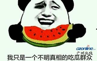 怎么形容自己吃瓜,我的吃瓜日常与感悟