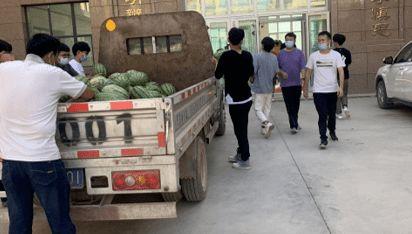 魏县吃瓜新闻事件,一场引发全民热议的“瓜田风波”