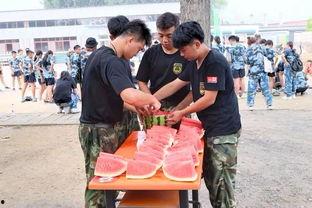 魏县吃瓜新闻事件,一场引发全民热议的“瓜田风波”