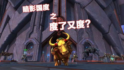 魔兽世界吃瓜群,吃瓜群里的那些事儿